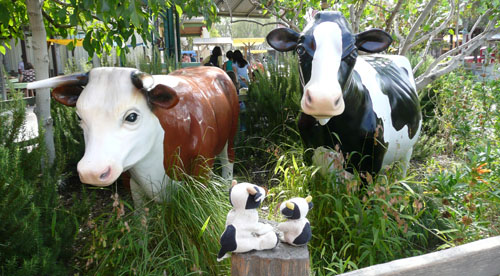 disney cows