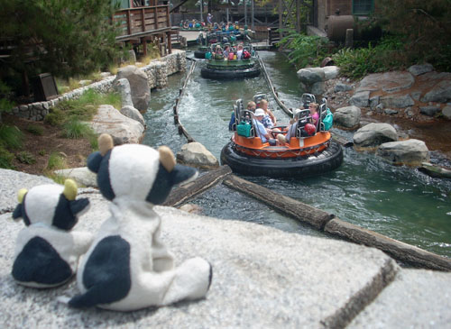 grizzly river run