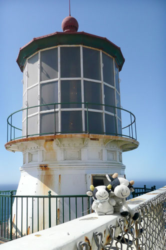 Point Reyes lighthouse