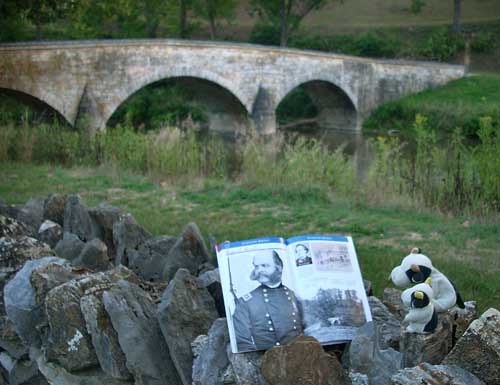 burnside bridge