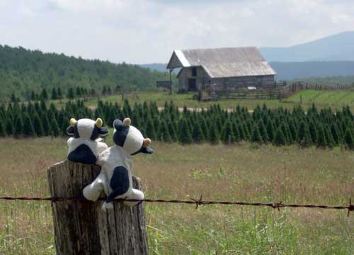 scenic barn