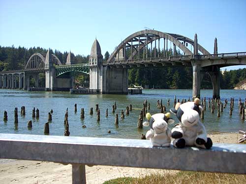 siuslaw_river_bridge