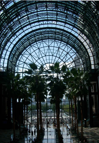 winter garden