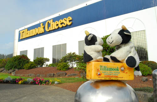 tillamook cheese factory