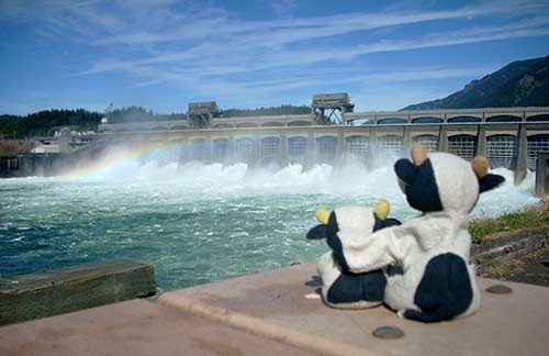 bonneville_spillway