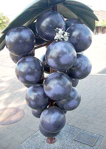 grapes