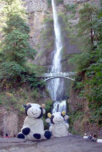 multnomah_falls