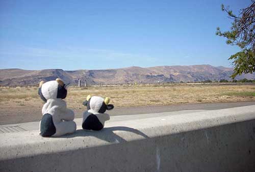 rest_stop_palouse