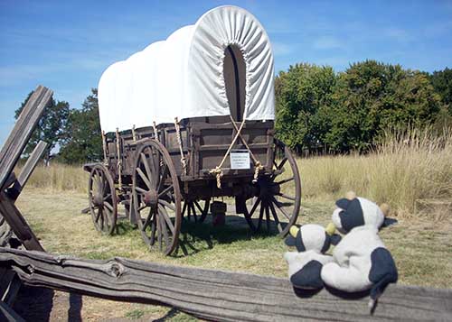 wagon