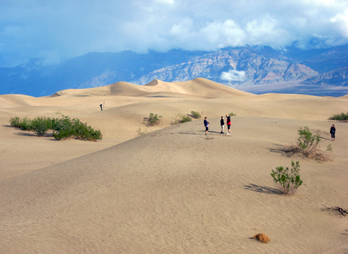 dunes