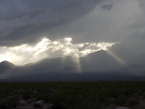 sunbeams