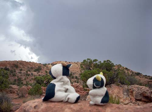 canyonlands_storm