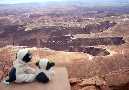 canyonlands_view