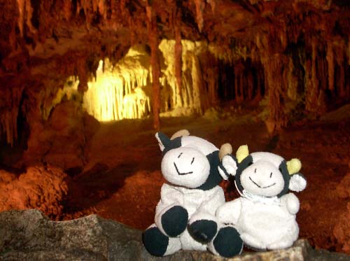 great_basin_lehman_cave