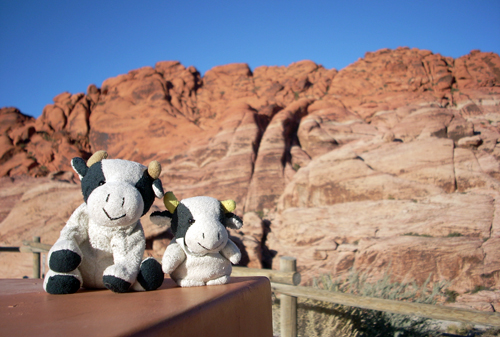 red rock canyon