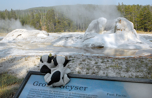 grotto_geyser