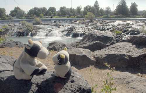 idaho_falls