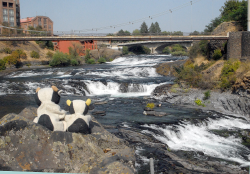 spokane_falls