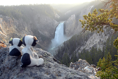 yellowstone_falls