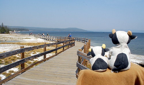 yellowstone_lake